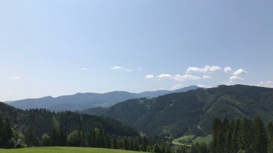 Mountain Biking Complete tour Kapfenberg - Pötschen- GEMYSAG- und 2 Rad Grillstrecke - Touren-Impression #2.2 | © Hochsteiermark