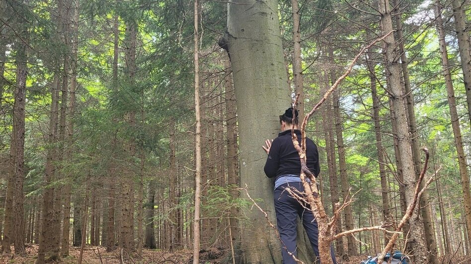 Hiking route Dr. Hans Fuchs Weitwander-Rundweg "Der Kreis schließt sich" - Touren-Impression #2.5 | © Region Graz