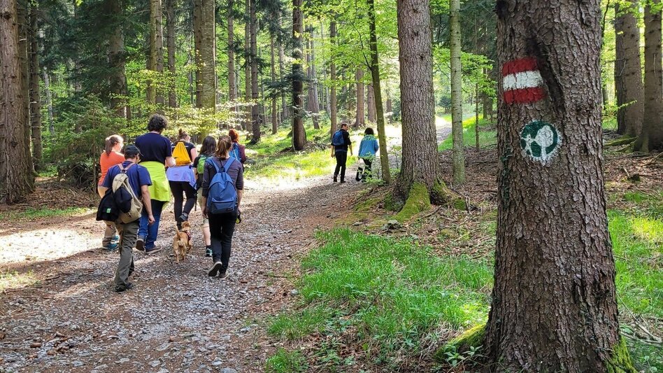 Hiking route Dr. Hans Fuchs Weitwander-Rundweg "Der Kreis schließt sich" - Touren-Impression #2.6 | © Region Graz