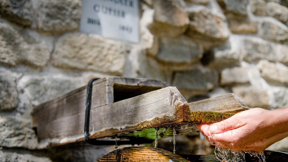 Hiking route Dr. Hans Fuchs Weitwander-Rundweg "Der Kreis schließt sich" - Touren-Impression #2.8 | © Region Graz