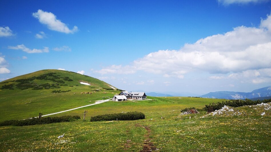 Hiking route From Farfel across the Schneealm to Altenberg - Touren-Impression #2.7 | © Hochsteiermark