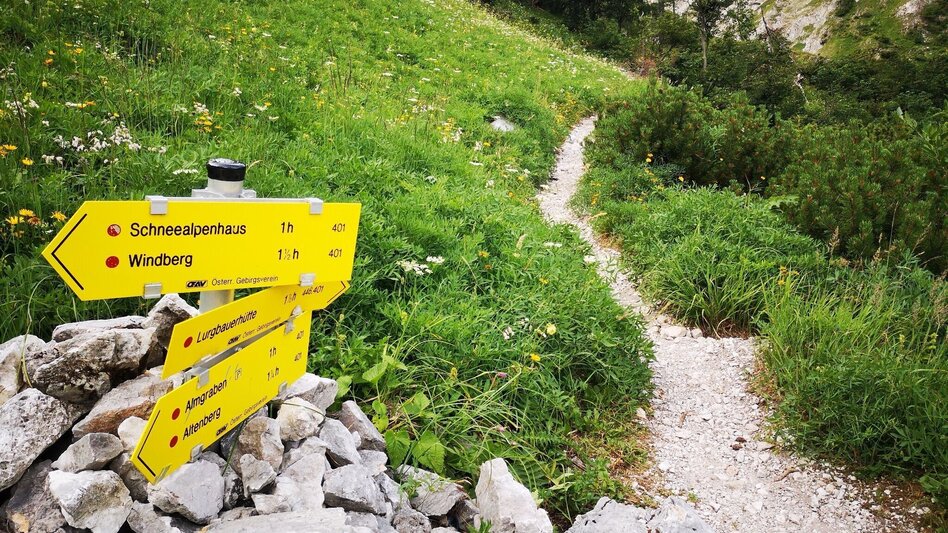 Hiking route From Farfel across the Schneealm to Altenberg - Touren-Impression #2.8 | © Hochsteiermark