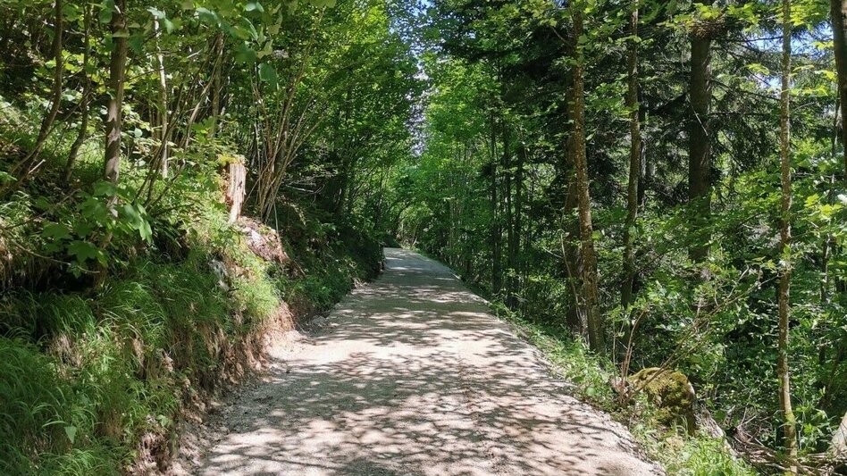 Radfahren Biketour: Themenweg Augstbach - Touren-Impression #2.1 | © Kulturfux