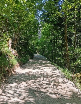 Themenweg Augstbach | Michaela Fuchs | © Kulturfux