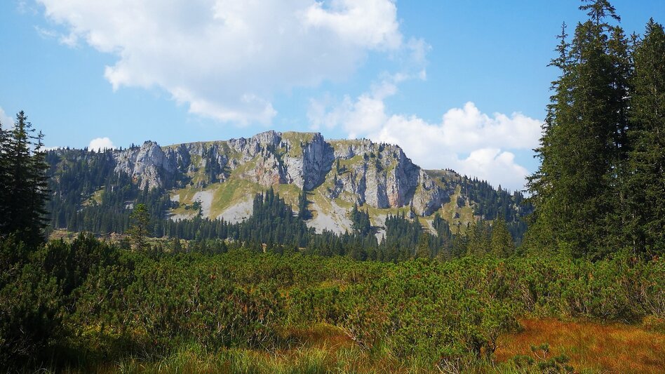 Long-Distance Hiking Seven Summits in the Mürzer Oberland Nature Park - Touren-Impression #2.14 | © TV Hochsteiermark
