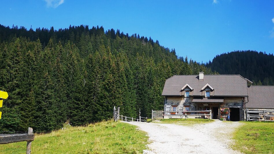Long-Distance Hiking Seven Summits in the Mürzer Oberland Nature Park - Touren-Impression #2.15 | © TV Hochsteiermark