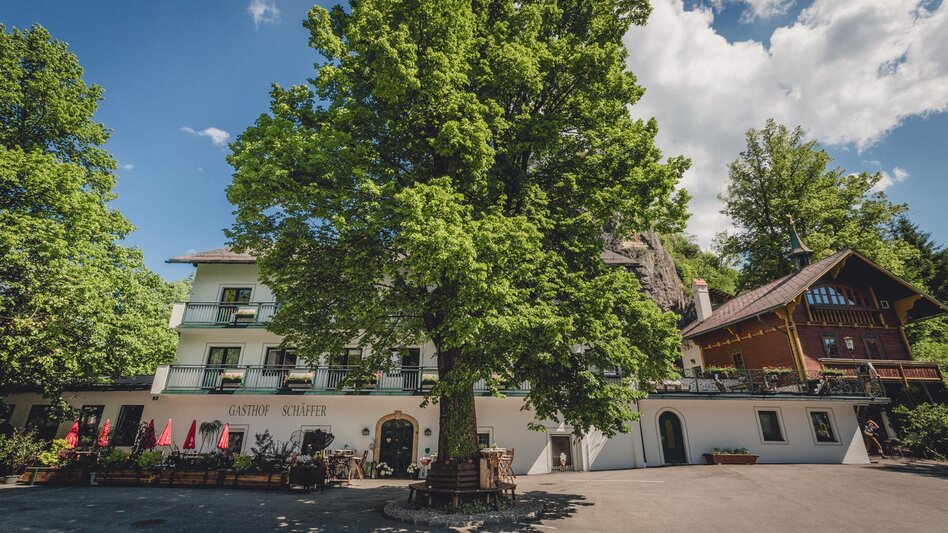 Long-Distance Hiking Seven Summits in the Mürzer Oberland Nature Park - Touren-Impression #2.21 | © Unbekannt