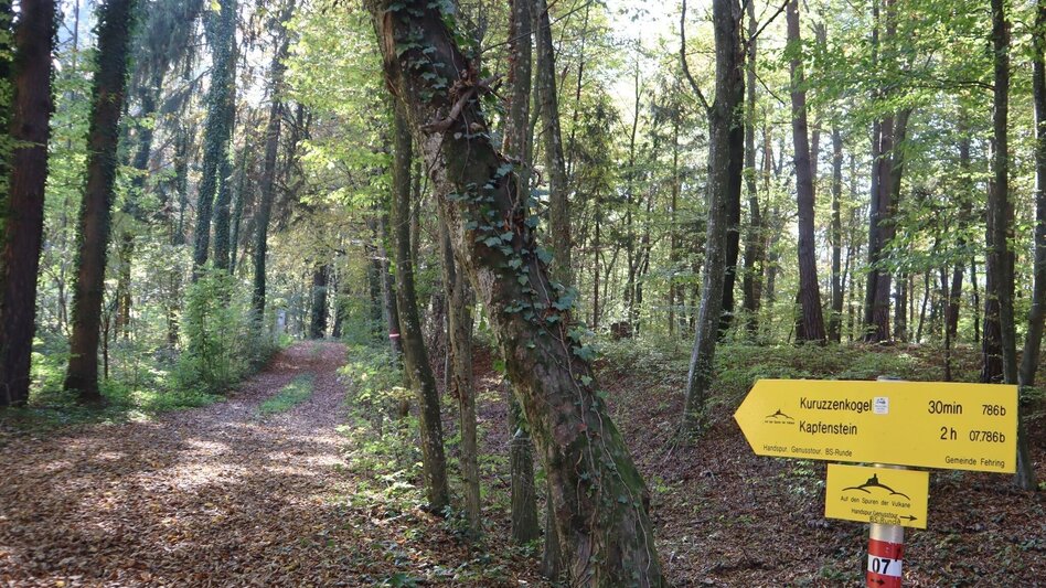 Hiking route Hand track (Handspur) - entire length - Touren-Impression #2.11 | © Spirit of Regions