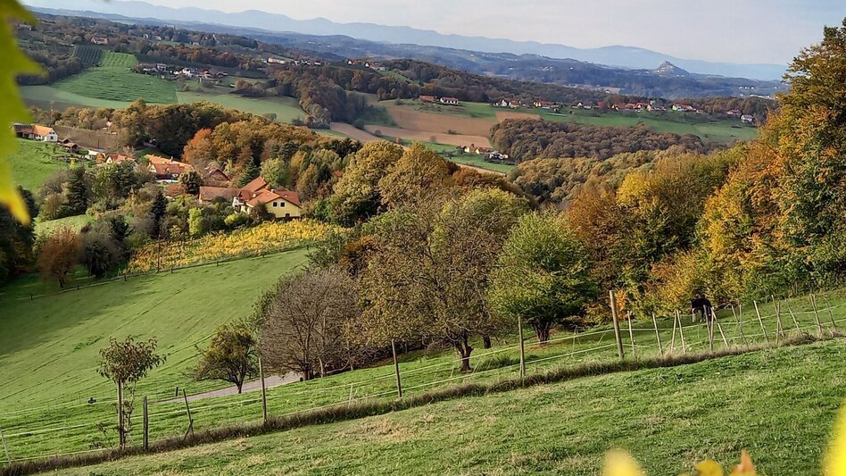 Themen- und Lehrpfad Linke Handspur / Bad Loipersdorf-Bad Gleichenberg - Touren-Impression #2.3 | © Spirit of Regions