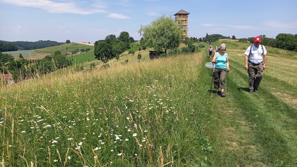 Themen- und Lehrpfad Linke Handspur / Bad Loipersdorf-Bad Gleichenberg - Touren-Impression #2.5 | © Spirit of Regions