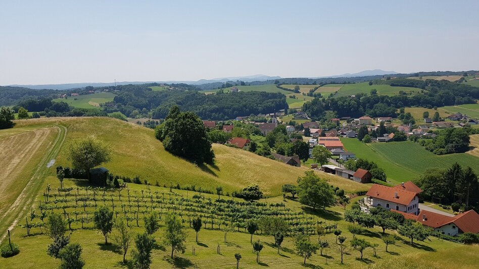Themen- und Lehrpfad Linke Handspur / Bad Loipersdorf-Bad Gleichenberg - Touren-Impression #2.6 | © Spirit of Regions