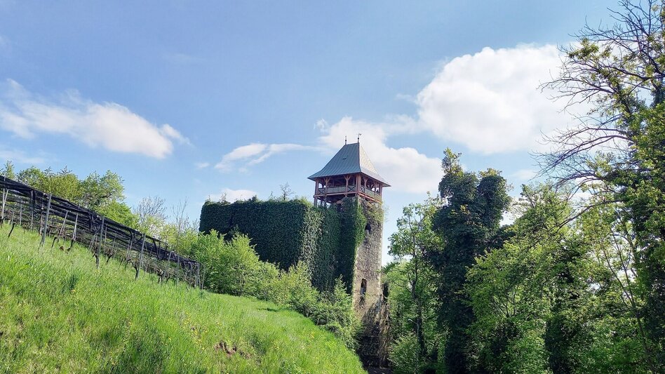 Theme path Left foot track (Linke Fußspur) - Touren-Impression #2.1 | © Spirit of Regions