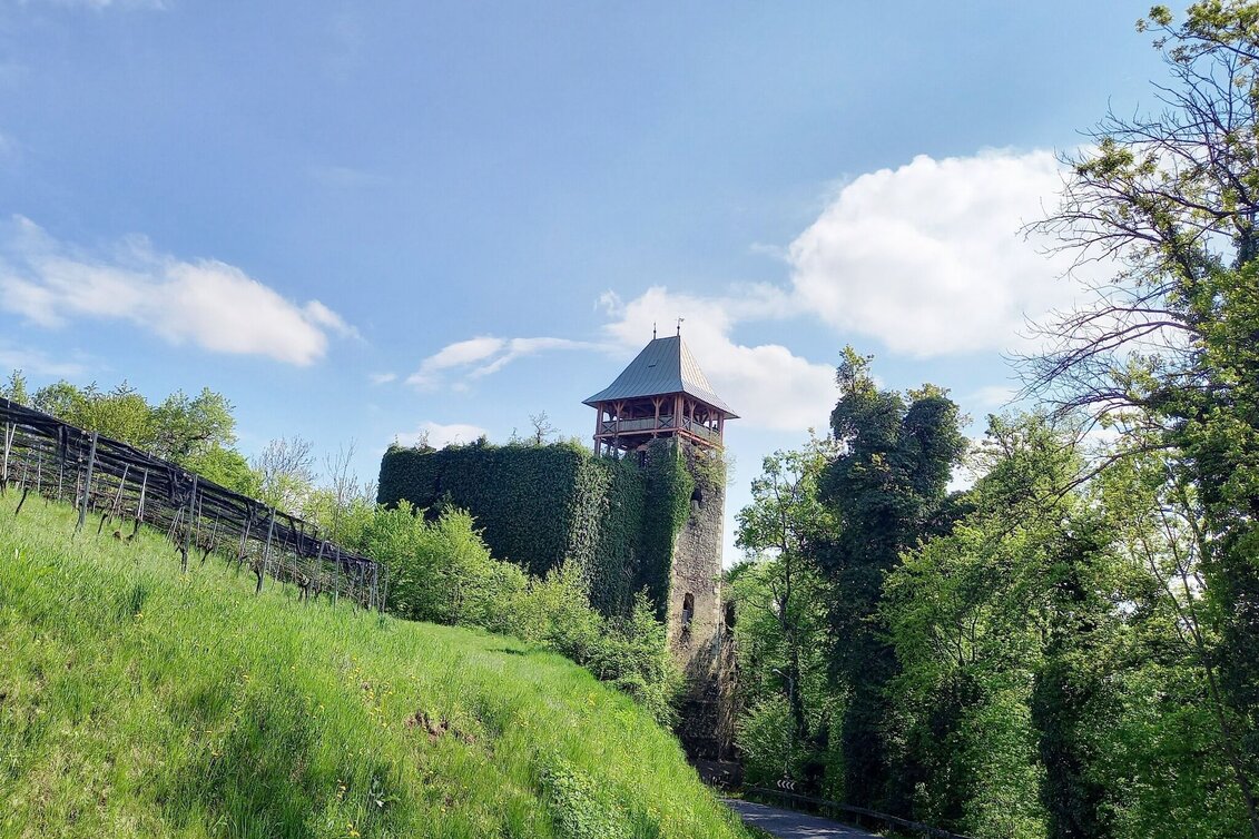 Theme path Left foot track (Linke Fußspur) - Touren-Impression #1 | © Spirit of Regions
