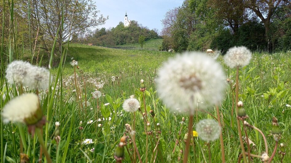 Theme path Right foot track (Rechte Fußspur) - Touren-Impression #2.3 | © Spirit of Regions