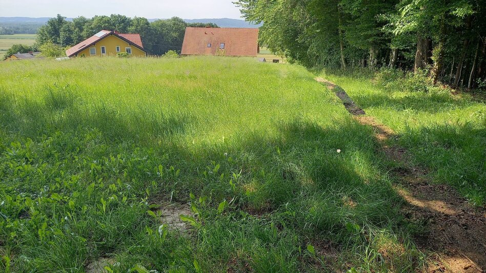 Theme path Right foot track (Rechte Fußspur) - Touren-Impression #2.7 | © Spirit of Regions