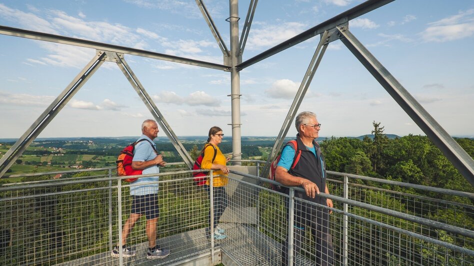 Multi-day tours Backbone (Rückgrat) entire length / Feldbach-Klöch - Touren-Impression #2.3 | © TV Thermen- & Vulkanland