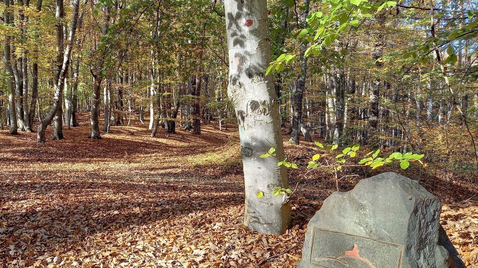 Multi-day tours Backbone (Rückgrat) entire length / Feldbach-Klöch - Touren-Impression #2.6 | © Spirit of Regions