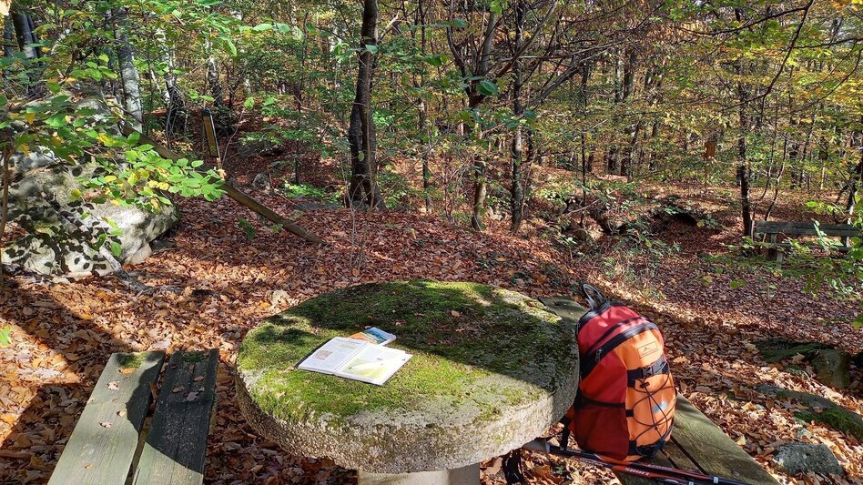 Multi-day tours Backbone (Rückgrat) entire length / Feldbach-Klöch - Touren-Impression #2.16 | © Spirit of Regions