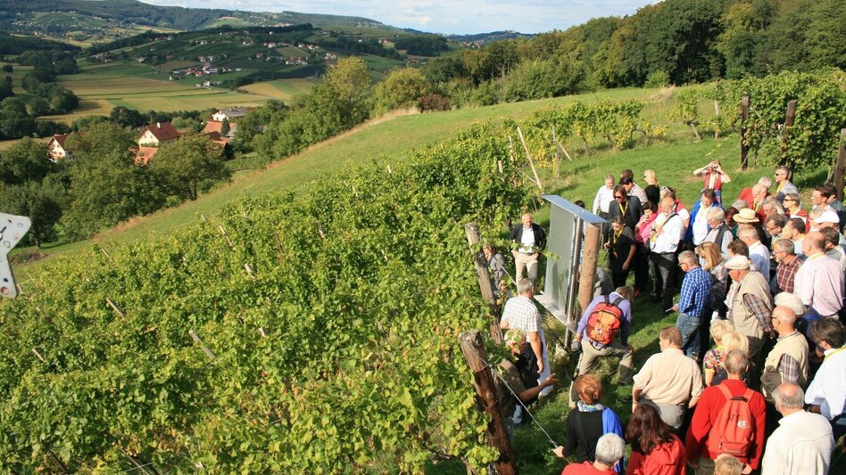 Multi-day tours Backbone (Rückgrat) entire length / Feldbach-Klöch - Touren-Impression #2.18 | © Spirit of Regions