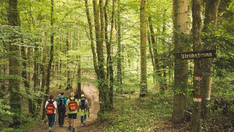 Multi-day tours Spiritual roof (Spirituelles Dach) - entire length - Touren-Impression #2.5 | © TV Thermen- & Vulkanland