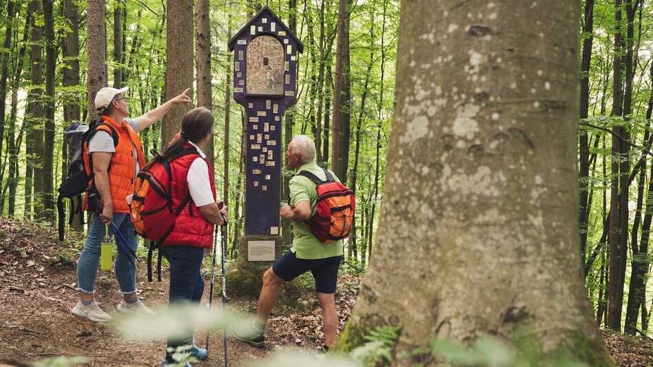 Multi-day tours Spiritual roof (Spirituelles Dach) - entire length - Touren-Impression #2.12 | © TV Thermen- & Vulkanland