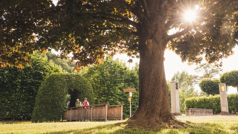Multi-day tours Spiritual roof (Spirituelles Dach) - entire length - Touren-Impression #2.14 | © TV Thermen- & Vulkanland