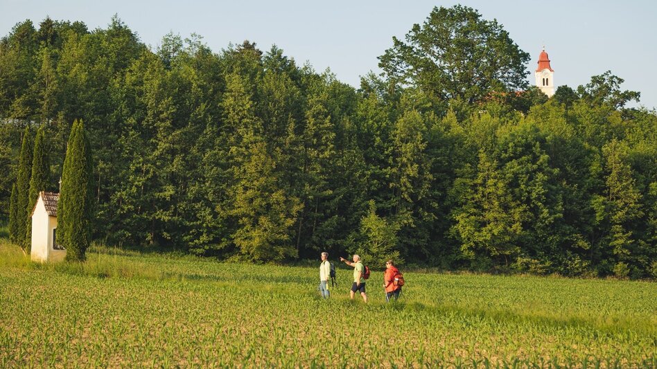 Multi-day tours Spiritual roof (Spirituelles Dach) - entire length - Touren-Impression #2.16 | © TV Thermen- & Vulkanland