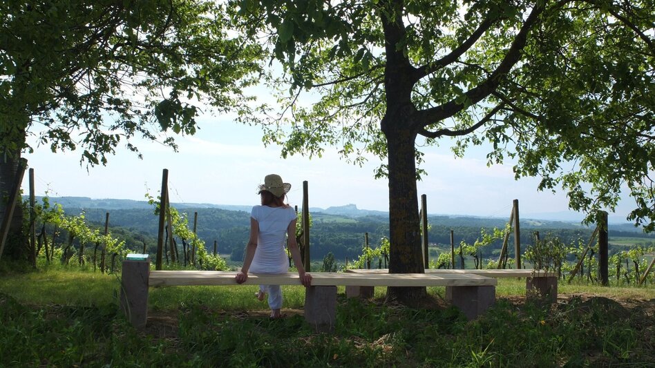 Multi-day tours Spiritual roof (Spirituelles Dach) - entire length - Touren-Impression #2.23 | © TV Thermen- & Vulkanland