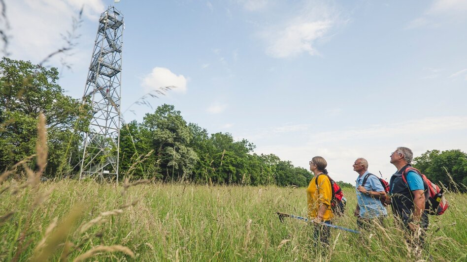 Theme path Around the middle (Um die Mitte) - entire length - Touren-Impression #2.1 | © Thermen- & Vulkanland