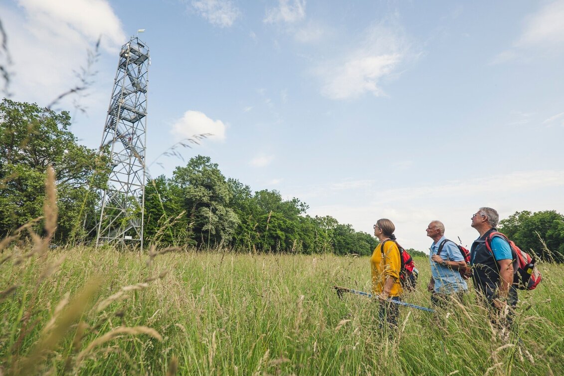 Theme path Around the middle (Um die Mitte) - entire length - Touren-Impression #1 | © Thermen- & Vulkanland