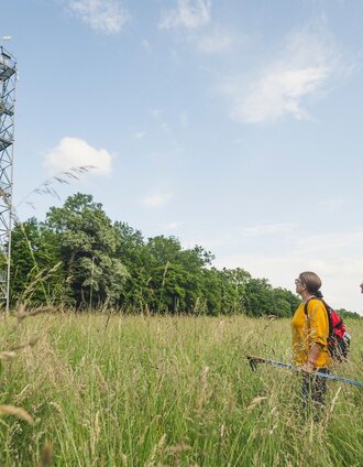 Vulkanland Aussichtswarte | Bernhard Bergmann | © Thermen- & Vulkanland
