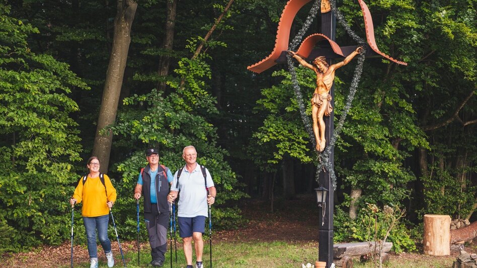 Theme path Around the middle (Um die Mitte) - entire length - Touren-Impression #2.6 | © Thermen- & Vulkanland