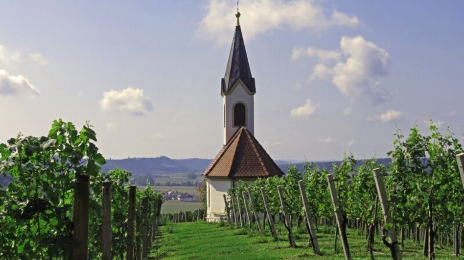 Hiking route Hiking stick (Wanderstab) / St. Stefan-Mureck - Touren-Impression #2.2 | © Gemeinde St. Stefan
