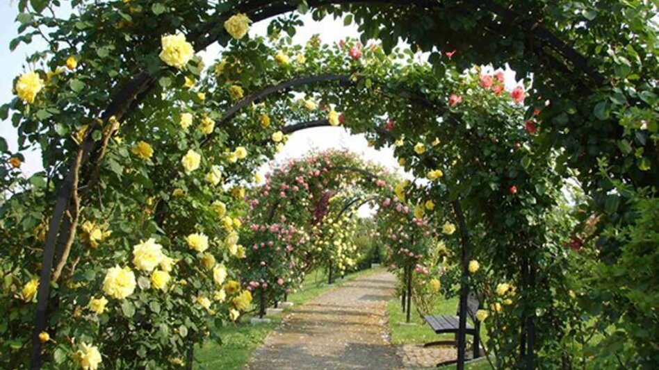 Hiking route Hiking stick (Wanderstab) / St. Stefan-Mureck - Touren-Impression #2.5 | © Gemeinde St. Peter