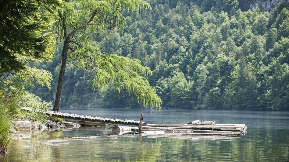 Mountain Biking S720 6 Seen Tour - Touren-Impression #2.3 | © Schifffahrt Grundlsee/Eisenberger