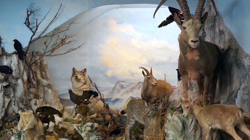 Wanderung Natur- und Kulturwanderweg Neuberg an der Mürz - Touren-Impression #2.1 | © Naturpark Mürzer Oberland