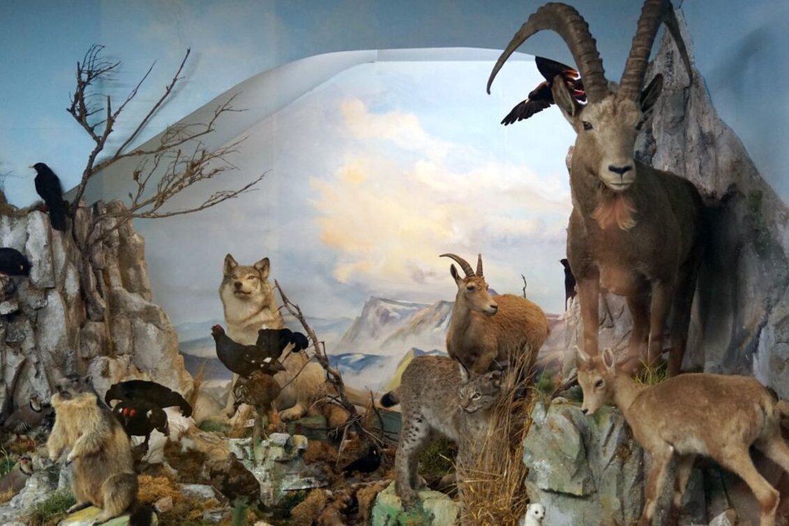 Wanderung Natur- und Kulturwanderweg Neuberg an der Mürz - Touren-Impression #1 | © Naturpark Mürzer Oberland