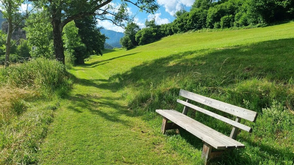 Wanderung Natur- und Kulturwanderweg Neuberg an der Mürz - Touren-Impression #2.10 | © Hochsteiermark