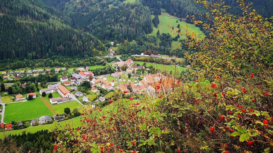 Wanderung Natur- und Kulturwanderweg Neuberg an der Mürz - Touren-Impression #2.11 | © Hochsteiermark