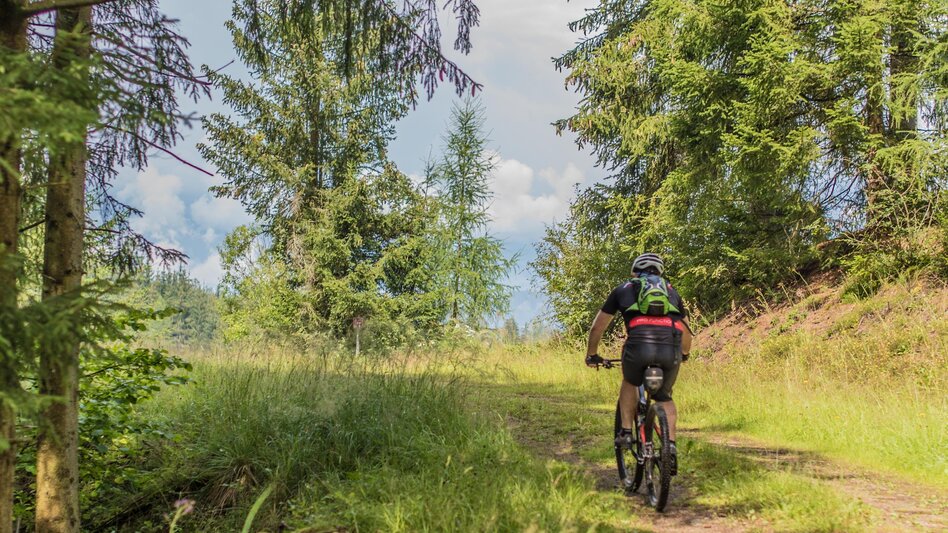 Mountain Biking Tour 19b - MTB - Pensionistenhütte - Touren-Impression #2.7 | © Erlebnisregion Murtal