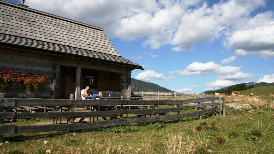 Hiking route Crossing the Wildalpe in the Mürzer Oberland Nature Park - Touren-Impression #2.2 | © Naturpark Mürzer Oberland