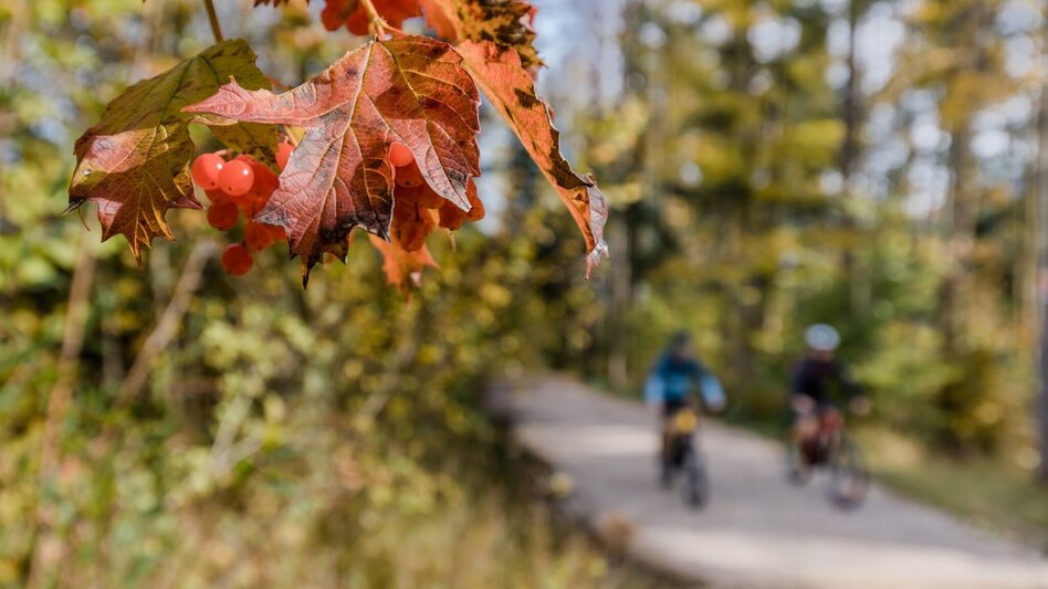 Mountainbike S248 Bärnmoos - Touren-Impression #2.2 | © TVB Ausseerland Salzkammergut