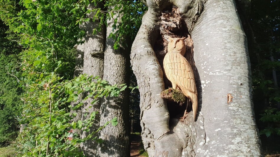 Hiking route Hilmtor-round, Friedberg - Touren-Impression #2.4 | © Oststeiermark Tourismus