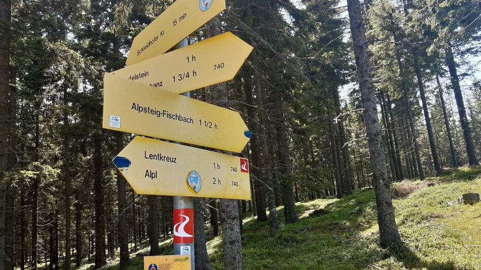 Hiking route Teufelstein-Round, Fischbach - Touren-Impression #2.5 | © Oststeiermark Tourismus