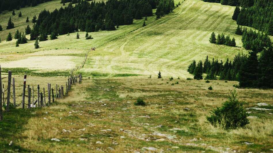 Wanderung Stuhleck-Runde, Rettenegg - Touren-Impression #2.4 | © Noah Ulrich