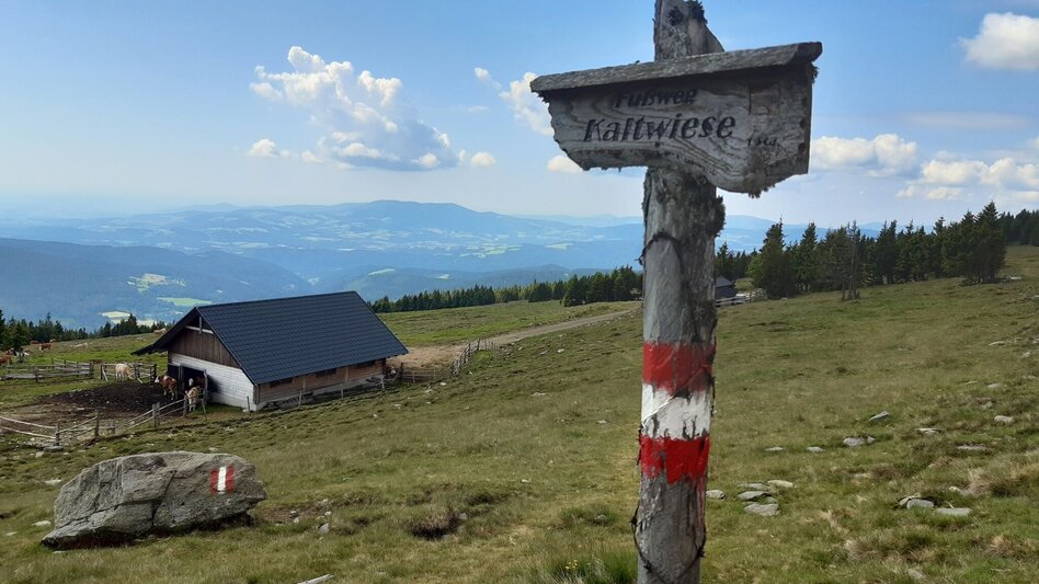 Hiking route Hochwechsel circuit, Waldbach-Mönichwald - Touren-Impression #2.2 | © Oststeiermark Tourismus