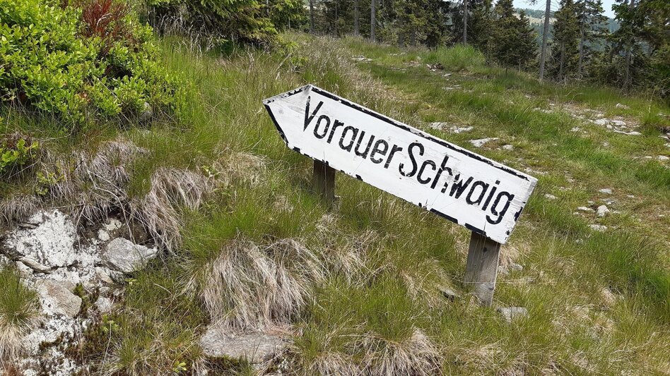 Hiking route Hochwechsel circuit, Waldbach-Mönichwald - Touren-Impression #2.4 | © Oststeiermark Tourismus