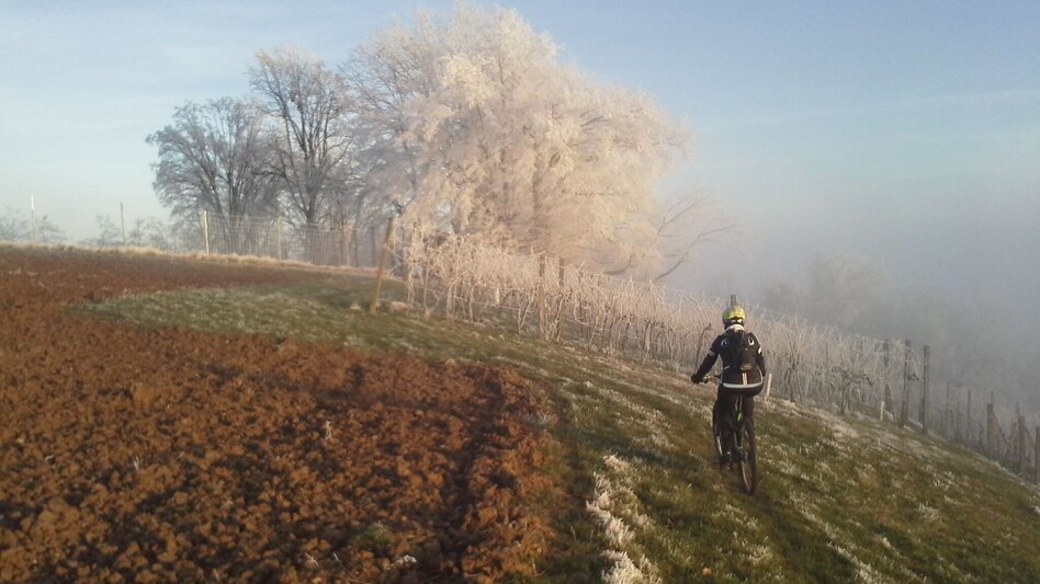 Mountain Biking Hans-Pfeiffer Mountainbike Tour - Touren-Impression #2.2 | © Waltraud Pfeiffer