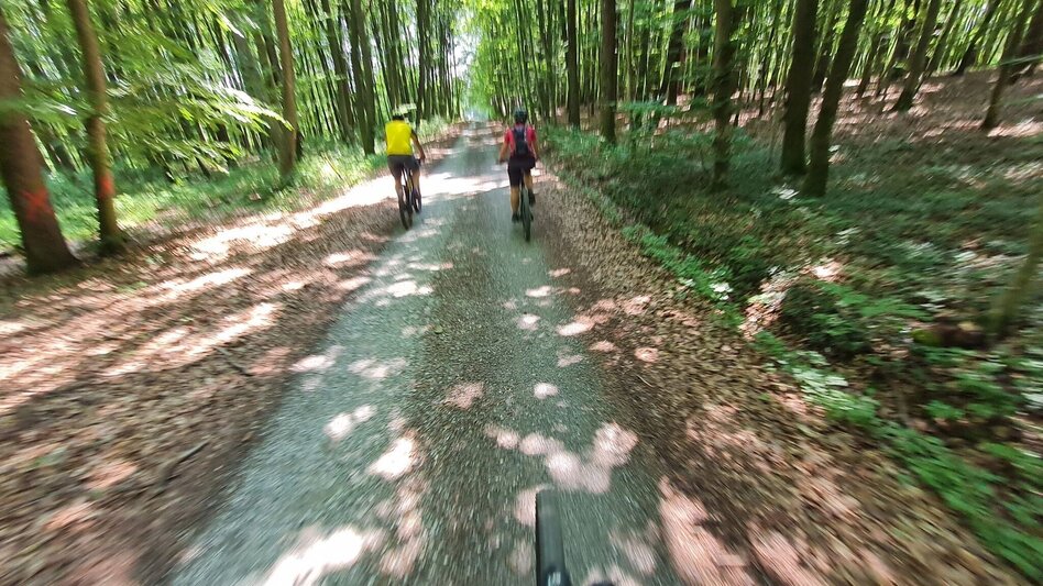 Mountain Biking Hans-Pfeiffer Mountainbike Tour - Touren-Impression #2.3 | © Waltraud Pfeiffer