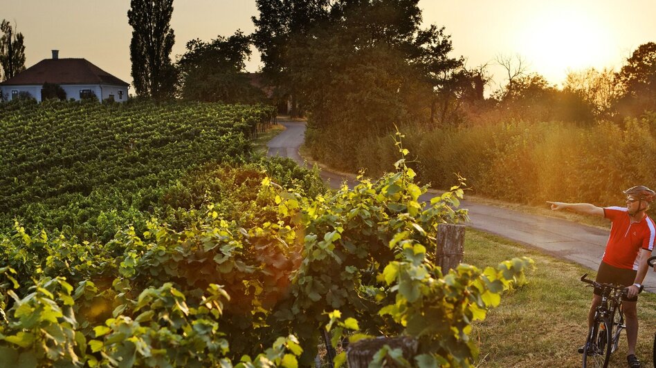 miscellaneousCyclingTour Graveling through Styria / Neustift-Mureck / Gravel Austria - Touren-Impression #2.1 | © Thermen- & Vulkanland